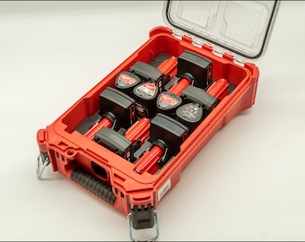 May include: A red rectangular hard-shell storage case with a clear hinged lid, containing multiple black and red power tool batteries organized in custom-fitted foam inserts. The case features a black rubberized handle and metal latches.