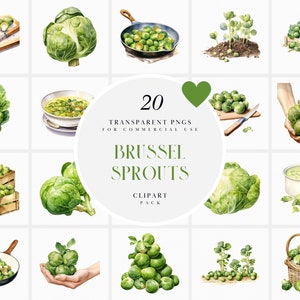 Aquarelle de choux de Bruxelles Clipart, clipart vert chou de Bruxelles, nourriture saine légumes clipart, graphiques PNG transparents, usage Commercial