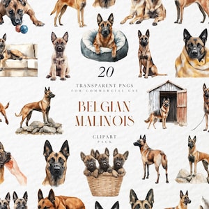 May include: A collection of 20 watercolor illustrations of Belgian Malinois dogs in various poses. The images include dogs sitting, standing, and lying down, with some in dog beds and a dog house. The text "Belgian Malinois Clipart Pack" is also visible.