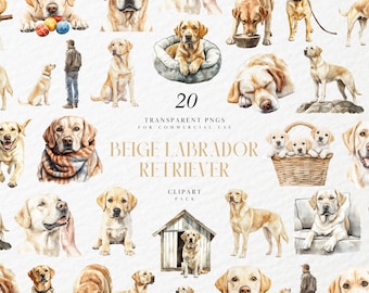 Watercolor Beige Labrador Retriever Clipart, Friendly Family Dog, Cozy Farmhouse Nursery Decor set, Transparent PNG Graphics, Commercial Use
