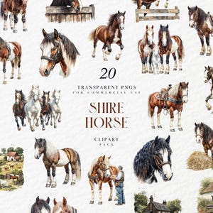 Watercolor Shire Horse Clipart, Horse Back Riding, Pony, Shire Stallion Racing Horses, Equestrianism, Farm, Transparent PNG, Commercial Use