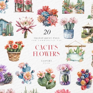 Akwarela Kaktus Kwiaty Clipart, Kwitnące Kaktusy, Birthflower, Pustynna Roślina Kwiatowa, Wiosna, Lato, Przezroczysta Grafika PNG, Użytek Komercyjny