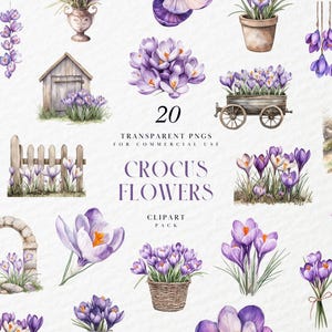Clipart aquarelle de fleurs de crocus, fleur de naissance, bouquet de composition florale, printemps, été, violet, graphiques PNG transparents, usage Commercial