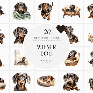 Aquarell Weiner Hund Clipart, Wursthunde Clipart, Hündchen Hund Clipart, Haustier Hund Familie Clipart, transparente PNG Grafik, kommerzielle Nutzung