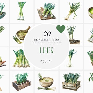Clipart poireaux aquarelle, vert poireau, clipart légumes de printemps, clipart légumes du jardin, soupe, graphiques PNG transparents, usage Commercial