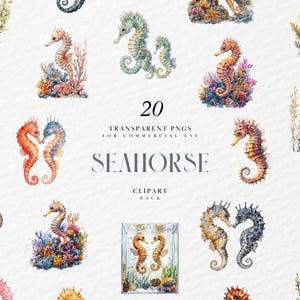 Watercolor Seahorse Clipart, Marine Life, Under the Sea, Deep Ocean Creatures, Realistic, Pet, Transparent PNG Graphics, Commercial Use