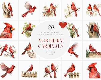 Watercolor Northern Cardinal Clipart, Flying Cardinal Birds Clipart, Chirping Cardinals Clipart, Red Birds, Transparent PNG, Commercial Use