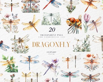 Watercolor Dragonfly Clipart, Ethereal Botanical Insect, Meadow Accents For Stickers & Invites Set, Transparent PNG Graphics, Commercial Use