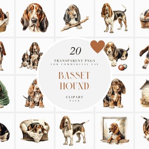 Aquarell Basset Hound Clipart, entzückende Hounds Clipart, niedliche Welpen Familie Haus Haustier Hund Clipart, transparente PNG Grafiken, kommerzielle Nutzung