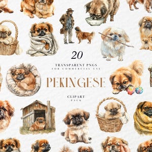 Watercolor Pekinese Dog Clipart, Pekingese Dog Clipart, Chinese Puppies Pup Dog Clipart, Home Pet, Transparent PNG Graphics, Commercial Use