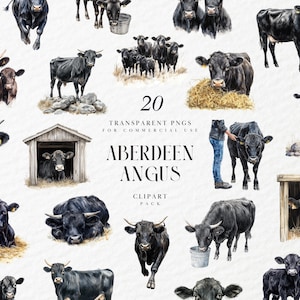 Clipart de vaca Aberdeen Angus aquarela, gado leiteiro, vaca preta escocesa, vacas, touro, bezerro, Highland, gráfico PNG transparente, uso comercial