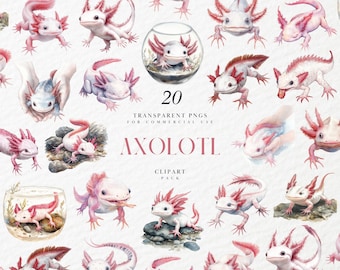 Watercolor Axolotl Clipart, Whimsical Pastel Aquatic Style,Salamander Elements for Nursery Decor, Transparent PNG Graphics, Commercial Use