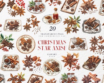 Aquarell Weihnachtsstern Anis Clipart, rustikale Gewürz Vibe, Zimt, Nelken und Cranberry Akzente, transparente PNG Grafiken, kommerzielle Nutzung