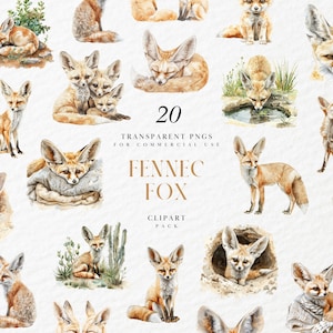 Aquarelle fennec renard clipart, kawaii, adorables animaux du Sahara africain, faune, mignons renards, canidés, PNG transparent, usage Commercial