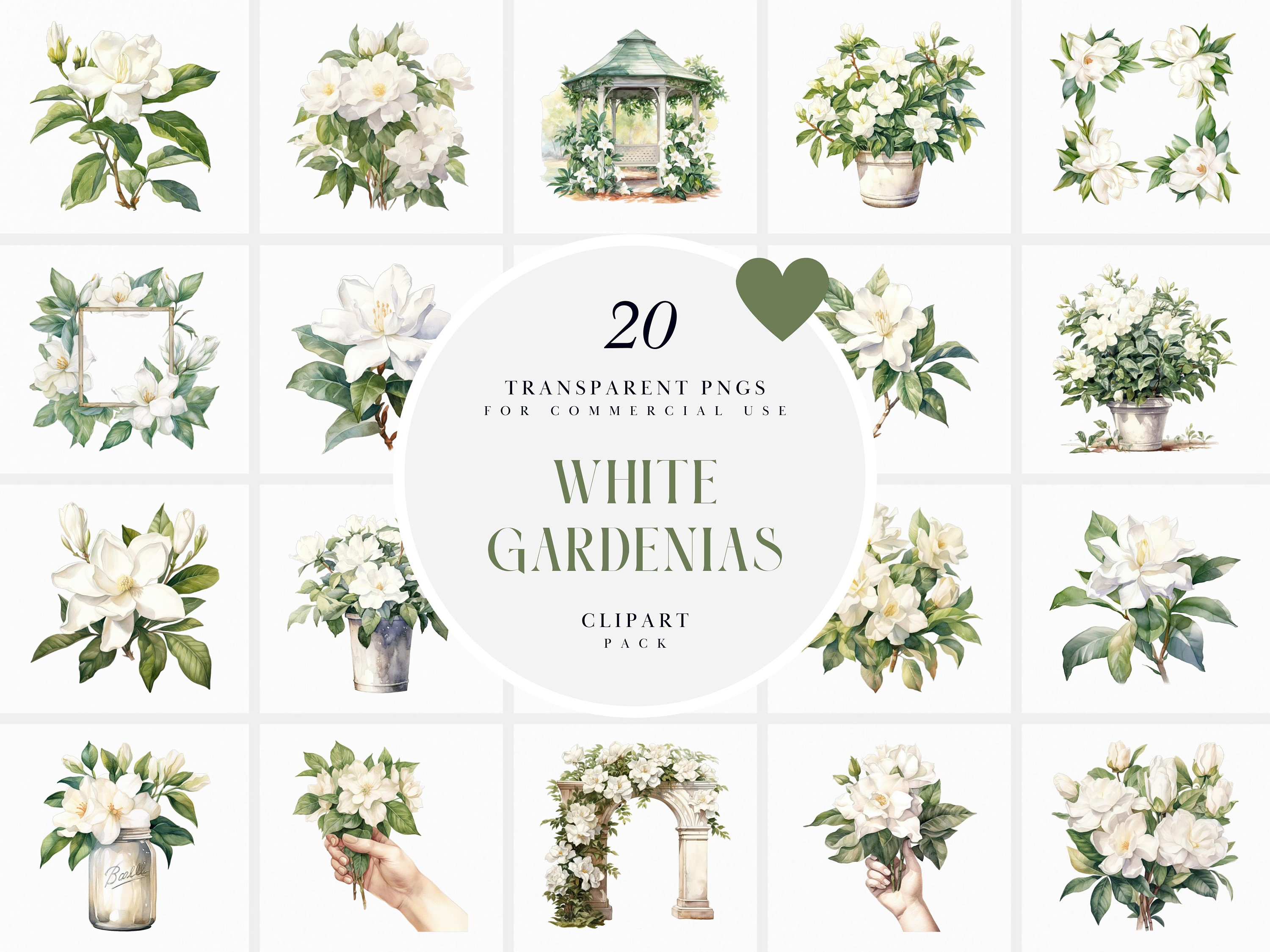 Flor de gardenia - Etsy México, image size:3000x2250