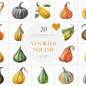 Watercolor Assorted Squash Clipart, Variety of Squash, Unique Shaped, Autumn, Fall, Black, Green, Yellow, Transparent PNG, Commercial Use
