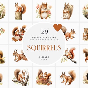 Imágenes Prediseñadas de ardillas de acuarela, imágenes prediseñadas de ardilla del bosque, imágenes prediseñadas de ardilla bebé lindo, bellota, archivos PNG transparentes gráficos para uso comercial