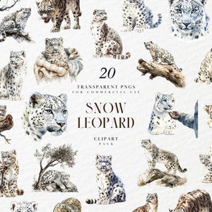 May include: A set of 20 watercolour illustrations of snow leopards in different poses. The images show the big cats in various settings, including sitting, standing, and resting. The text "Snow Leopard Clipart Pack" is also included.