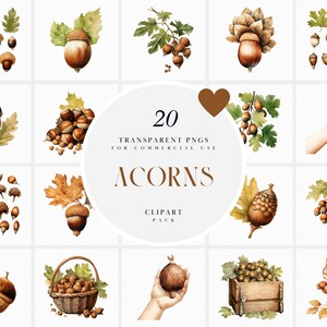 May include: A set of 20 watercolour illustrations of acorns, leaves, and branches. The illustrations are perfect for adding a touch of autumn to your designs.
