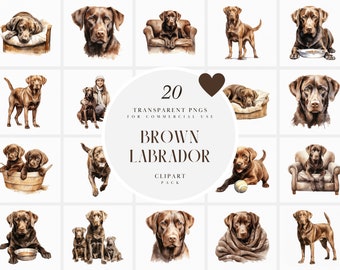 May include: A set of 20 digital illustrations of brown Labrador Retrievers in various poses. The illustrations are in a watercolour style and feature the dogs in different settings, including a bed, a chair, and a bowl of food. The illustrations are perfect for use in digital scrapbooking, card making, and other creative projects.