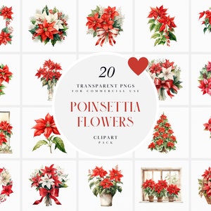 Clipart Poinsettia dell'acquerello, Clipart di fiori di Natale Poinsettia, Clipart di bouquet di fiori rossi floreali, grafica PNG trasparente, uso commerciale