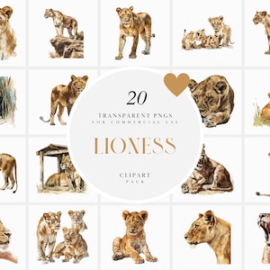 Imágenes prediseñadas de leona en acuarela, imágenes prediseñadas de leonas, manada de leonas, animales de la sabana, animales de safari, animales del zoológico, PNG transparente, uso comercial