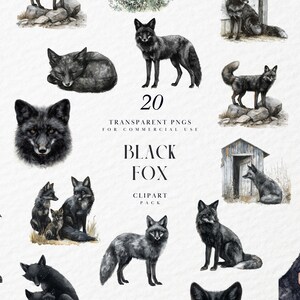 Pode incluir: Um pacote de clipart digital de 20 ilustrações de aquarela de raposas pretas em várias poses. As ilustrações são perfeitas para uso comercial e incluem o texto "20 PNGs transparentes para uso comercial Black Fox Clipart Pack".