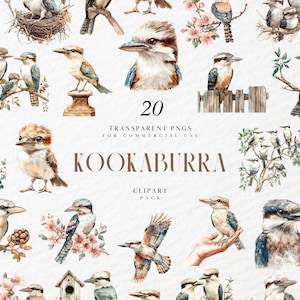 Clipart di Kookaburra ad acquerello, iconico uccello australiano che ride, fauna selvatica, illustrazione di birdwatching, grafica PNG trasparente, uso commerciale