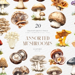 Clipart aquarelle de champignons assortis, graphiques de champignons botaniques, champignon vénéneux de la forêt, art de la nature Cottagecore, PNG transparent, usage Commercial