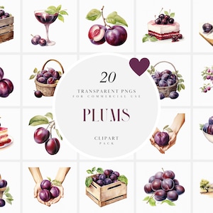 Aquarell Pflaume Clipart, lila Pflaumen Clipart, frische Pflaume Obst Clipart, Reife lila Obst Clipart, transparente PNG Grafiken, kommerzielle Nutzung