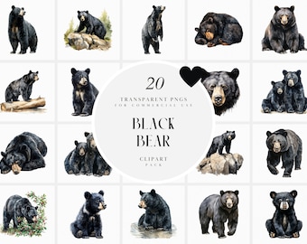 Watercolor Black Bear Clipart, Forest Black Bears Clipart, Realistic Woodland Animals, Wildlife, Transparent PNG Graphics, Commercial Use