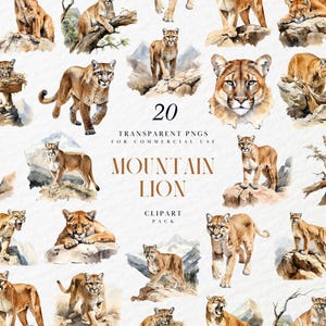 Könnte beinhalten: Eine Sammlung von 20 transparenten PNG-Bildern von Berglöwen in verschiedenen Posen. Die Aquarellillustrationen zeigen Pumas in Braun- und Beigetönen, einige Bilder enthalten Felsen und Bäume. Der Text lautet "Mountain Lion Clipart Pack".