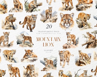 Ilustración de puma en acuarela, retrato de león de montaña, escena de bosque para pegatinas y decoración de pared, gráficos PNG transparentes, uso comercial.