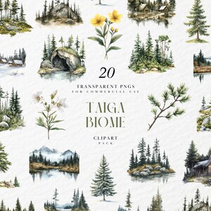 Clipart de acuarela del bioma de la taiga, bosque boreal, pinos, naturaleza nevada, paisaje invernal ártico, PNG transparente, uso comercial