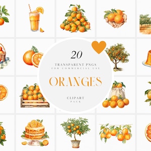 Watercolor Oranges Clipart, Orange Fruit Clipart, Botanical Mandarin Clipart, Farm, Orange Themed, Transparent PNG files For Commercial Use