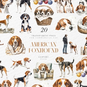 Puede incluir: Una colección de 20 imágenes PNG transparentes de perros American Foxhound en varias poses. El paquete de imágenes prediseñadas incluye ilustraciones de acuarela de la raza, con el texto "American Foxhound Clipart Pack".