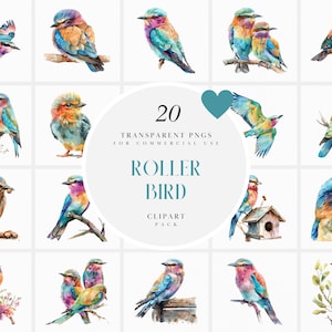 Imágenes prediseñadas de pájaro rodillo de acuarela, imágenes prediseñadas de pájaros rodillos voladores, colorido, vibrante, rodillo que chirría, gráficos PNG transparentes, uso comercial
