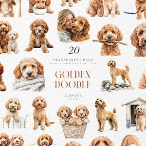 May include: A collection of 20 transparent PNG images featuring Golden Doodle dogs in various poses. The illustrations showcase the dogs in different settings, including playing with toys, resting, and interacting with people. The text "Golden Doodle Clipart Pack" is also visible.