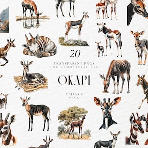 Aquarell Okapi Clipart, kongolesische Formen Giraffe Zebra, afrikanische Wildtiere, Savannah Tiere, Safari Zoo Transparent PNG, kommerzielle Nutzung