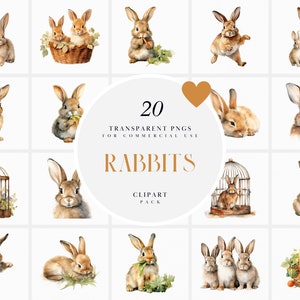 Aquarelle des cliparts lapin duveteux, des cliparts lapins réalistes, des cliparts lapin pour animaux de compagnie, des cliparts animaux mignons lapins, PNG Transparent à usage Commercial