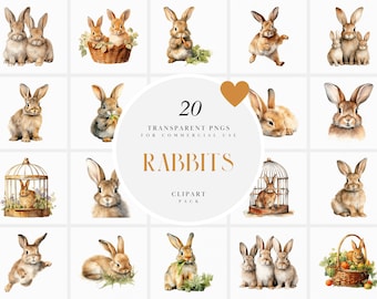 Watercolor Fluffy Rabbit Clipart, Realistic Rabbits Clipart, Pet Bunny Clipart, Cute Animals Bunnies Clipart, Transparent PNG Commercial Use