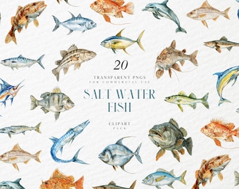 Imágenes prediseñadas de peces de agua salada en acuarela, barracuda, vida marina vintage, decoración náutica, gráfico PNG transparente, uso comercial