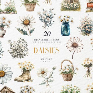 Aquarelle marguerites Clipart, Clipart Floral Daisy, botanique Daisy Flower Clipart, Bouquet de fleurs de marguerite de printemps, Format PNG pour un usage Commercial