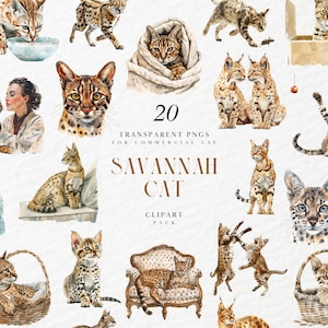 Clipart aquarelle chat de la savane, chaton, minou, race de chat domestique, chat de compagnie intérieur extérieur maison, graphiques PNG transparents, usage Commercial