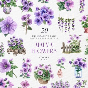 Può includere: Pacchetto di clipart ad acquerello con varie composizioni di fiori di malva viola. Include singoli fiori, bouquet in vasi, barattoli e cesti, oltre a elementi decorativi come un carretto di legno e un gazebo. Il testo recita "20 PNG trasparenti per uso commerciale" e "Malva Flowers Clipart Pack."
