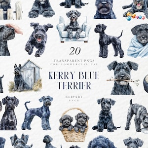Watercolor Kerry Blue Terrier Clipart, Irish Dog Breed, Curly Puppy Illustration, Farm Pet Decor, Transparent PNG Graphics, Commercial Use