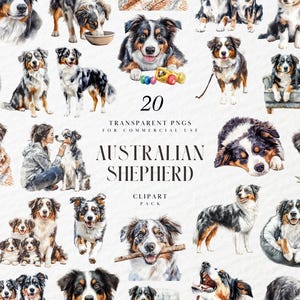 Watercolor Australian Shepherd Clipart, Aussie Pup, Herding Dog Breed, Pet Portrait, Farm Animal, Transparent PNG Graphics, Commercial Use