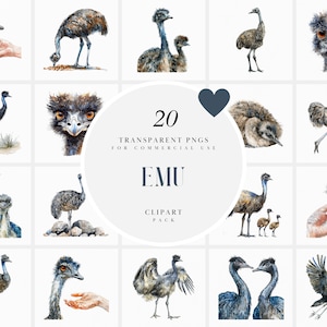 Aquarel emoe clipart, emoe clipart, realistische vliegende vogels, baby emoe clipart, hardlopen, grappig, transparante png-afbeeldingen, commercieel gebruik