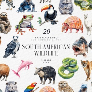 May include: A set of 20 transparent PNG images featuring South American wildlife such as a toucan, sloth, frog, and jaguar. The text reads "South American Wildlife Clipart Pack".