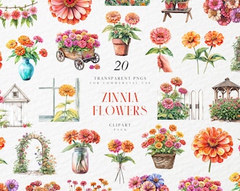 Imágenes prediseñadas de flores de zinnia en acuarela, floración floral, flor de nacimiento, flor silvestre, primavera, verano, ramo, gráfico PNG transparente, uso comercial